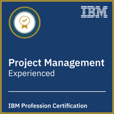 Experienced Project Manager - IBM